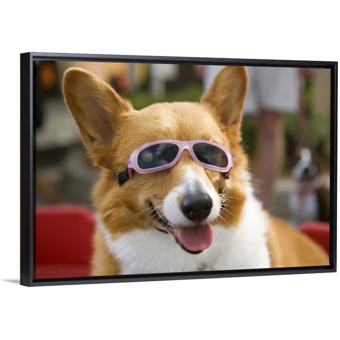 A Pembroke Welsh Corgi sitting in a wagon wearing sunglasses