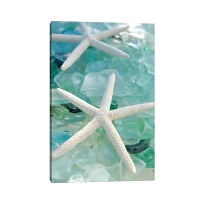iCanvas "Seaglass 1" by Alan Blaustein Canvas Print