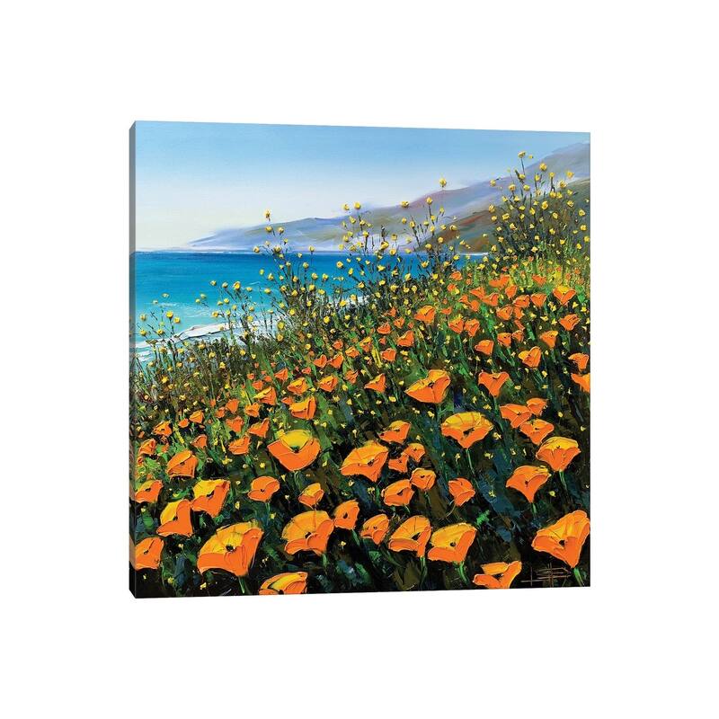iCanvas "Poppies In The Springtime II" by Lisa Elley Canvas Print