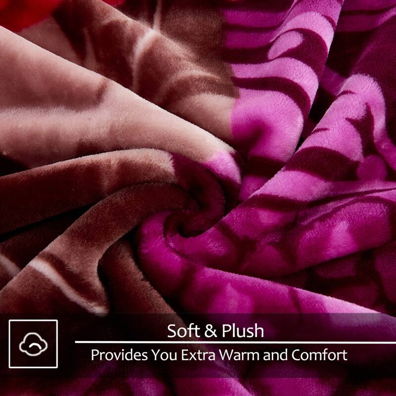 Raschel A&B Printed 2-ply Reversible Korean-style Plush Fleece Blanket