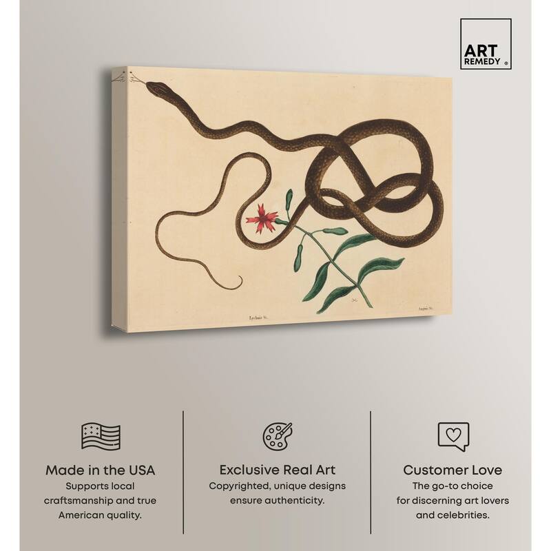 The Coach Whip Snake 1743 Canvas by Art Remedy, Gallery Wrapped