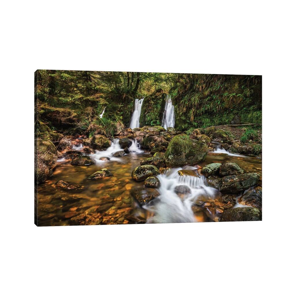 iCanvas "Hidden Nature (Wicklow, Ireland)" by Chano Sanchez Canvas Print