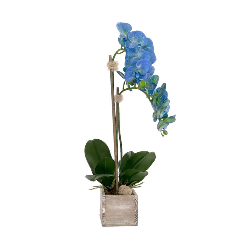 Blue Orchid Flower Arrangement in White Wash Wood Pot