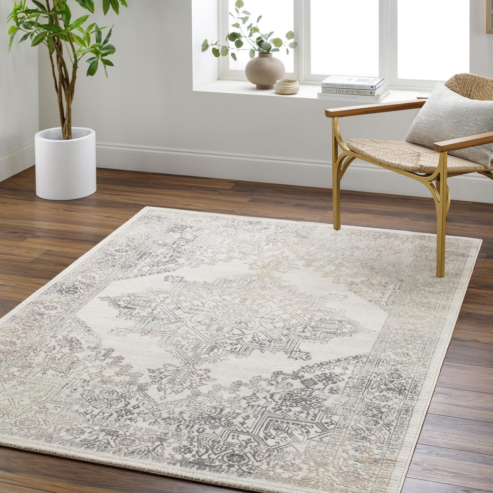 Livabliss Uranus Distressed Medallion Area Rug