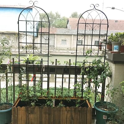 2 Pack Metal Garden Trellis Rustproof Trellis