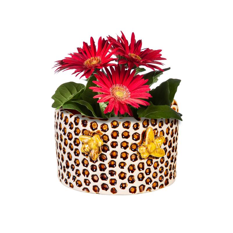 6" Ceramic Honeycomb Crackled Planter