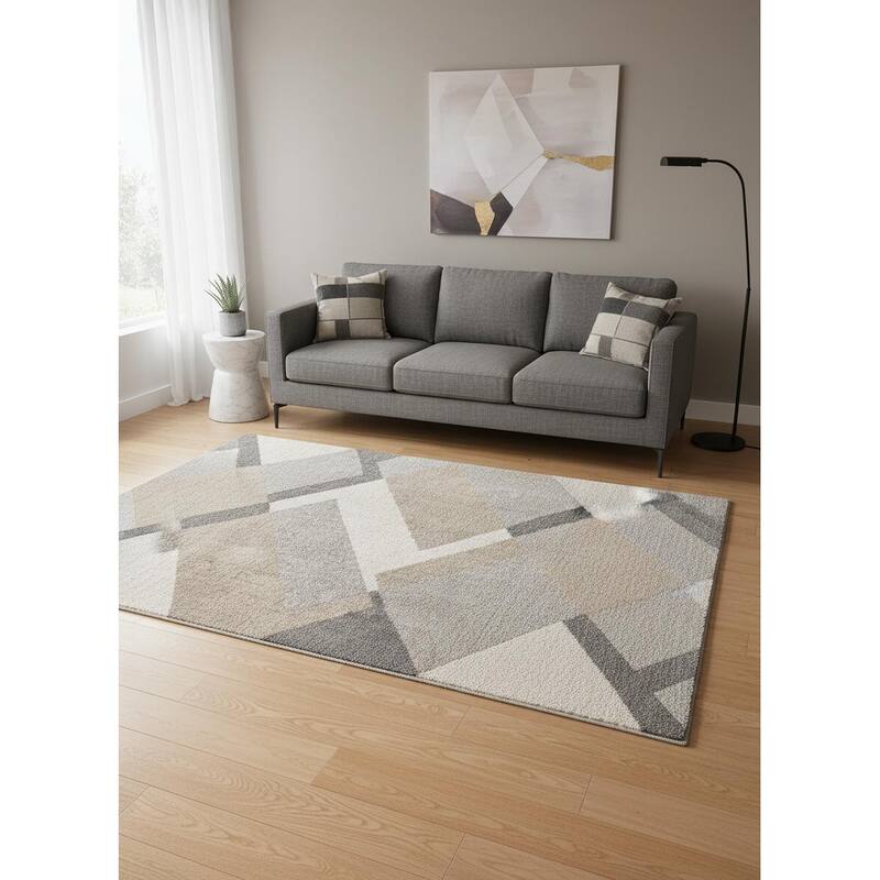 HomeRoots Geometric Modern Rectangle Area Rug - 5' X 8'