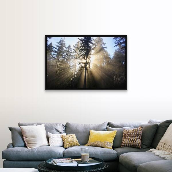 Shop Sun Shining Through Morning Fog And Trees Black Float Frame