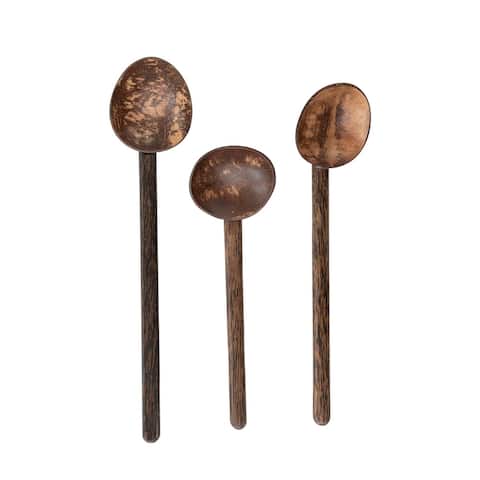 Coconut Shell Spoon with Mango Wood Handle, Set of 3 Styles
