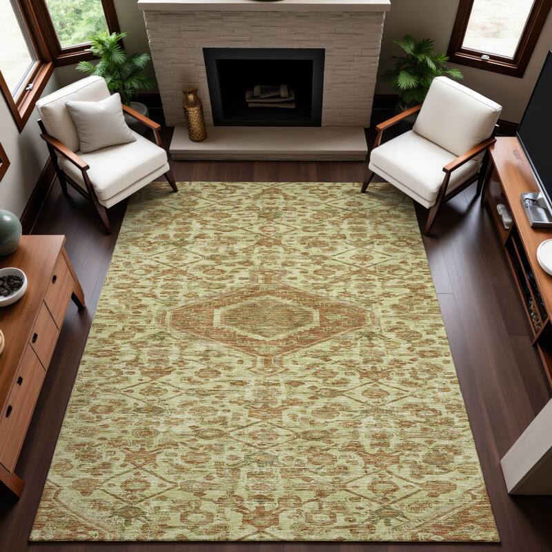 Premium Washable Super Soft Traditional Global Mayfield Rug