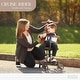 preview thumbnail 8 of 16, Evolur Cruise Rider Stroller With Canopy