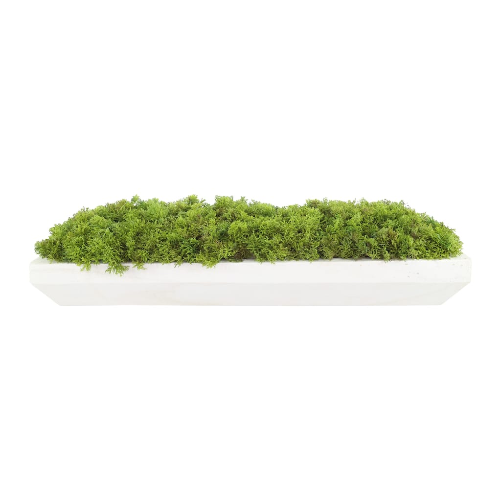 Moss Arrangement in Wood Dough Bowl - Green