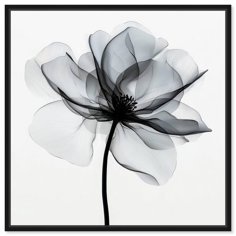 Midania III Canvas by Art Remedy - Black - 24" x 24"
