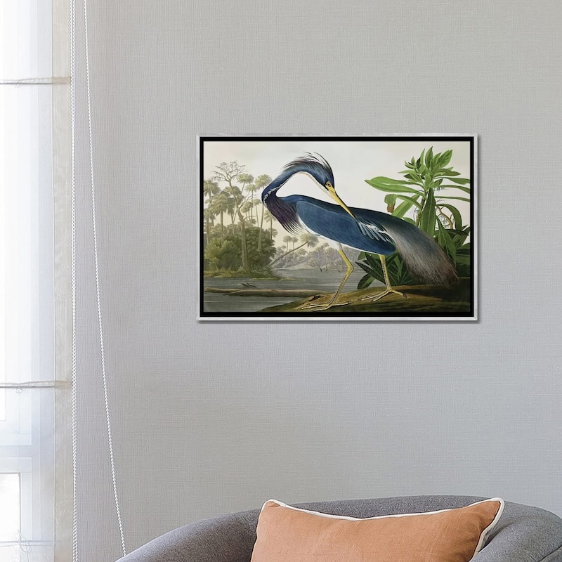 iCanvas "Louisiana Heron" by John James Audubon Framed