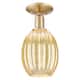 Option Champagne Bronze