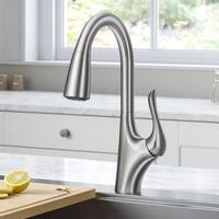 Buy Kitchen Faucets Online At Overstock Our Best Faucets Deals