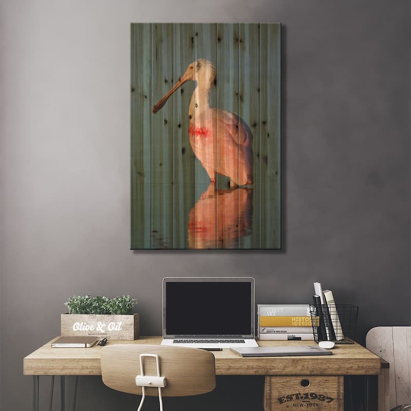 Roseate Spoonbill, Fort Myers Beach, Florida Print On Wood by Steve Gettle - Multi-Color