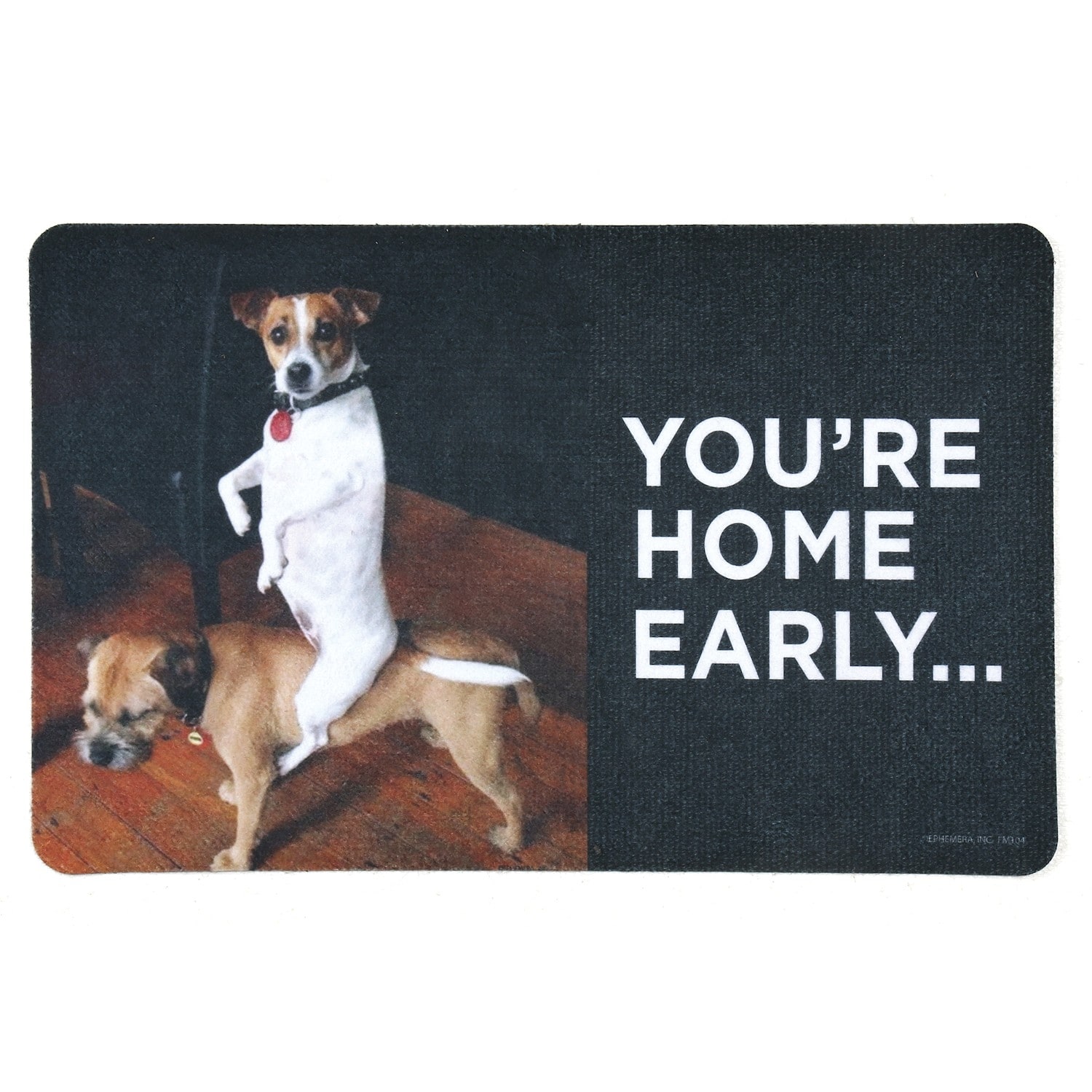 Who Runs The HouseDogs Funny Doormat
