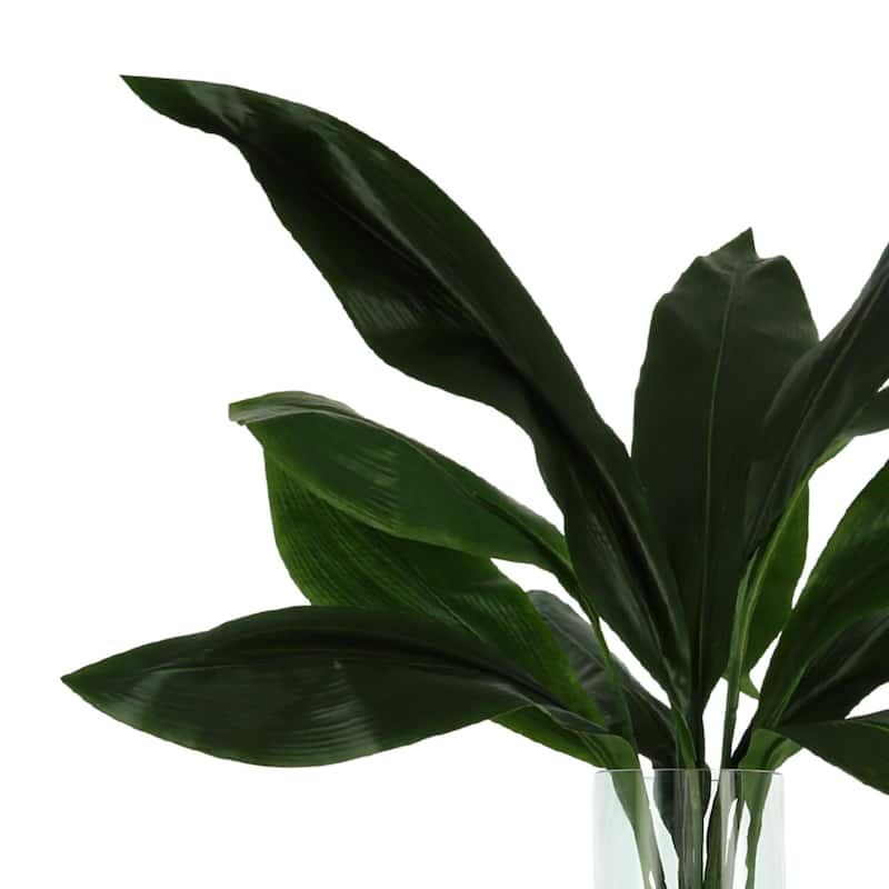 Aspidistra Leaf Arrangement in a Bubble Glass Vase with Shells - Green