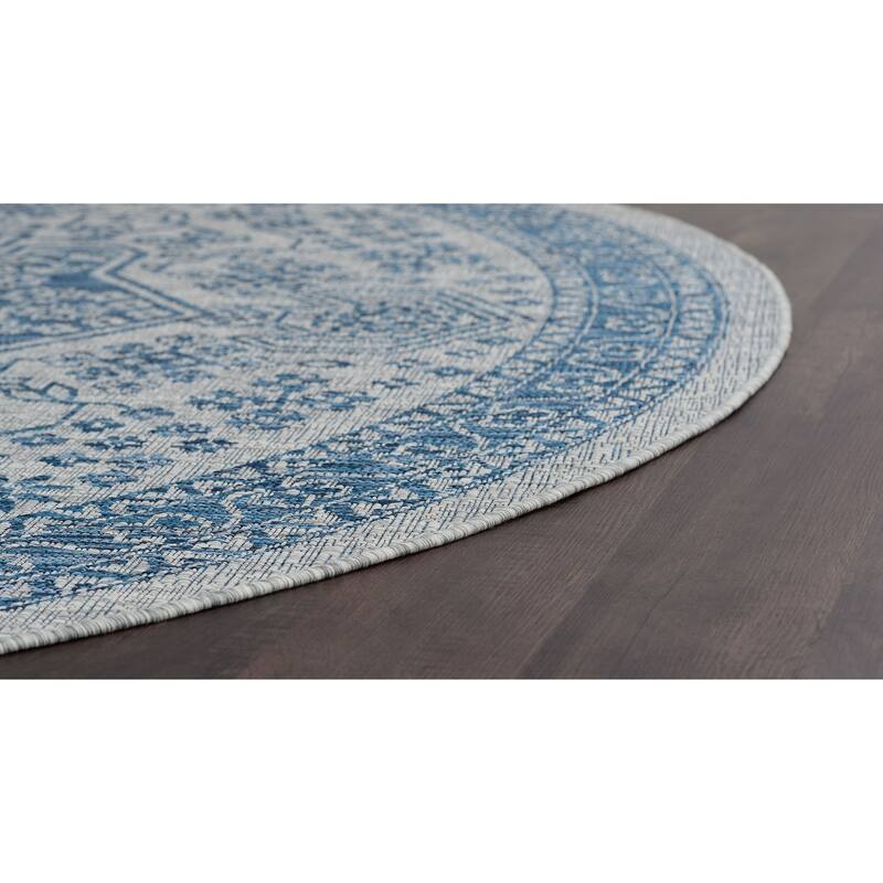 Colonnade Traditional Medallion Indoor/Outdoor Area Rug