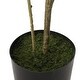 preview thumbnail 20 of 19, Bergweg Artificial Pieris Tree by Christopher Knight Home