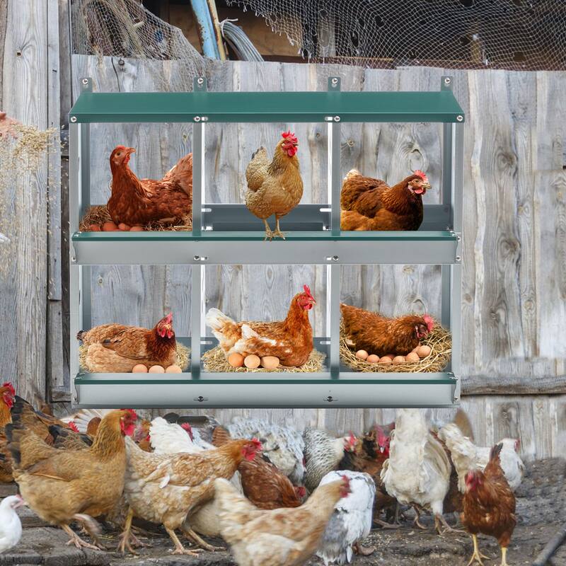 6-Compartment Galvanized Steel Chicken Nesting Box - Easy-Assembly Egg Laying Box for Hens
