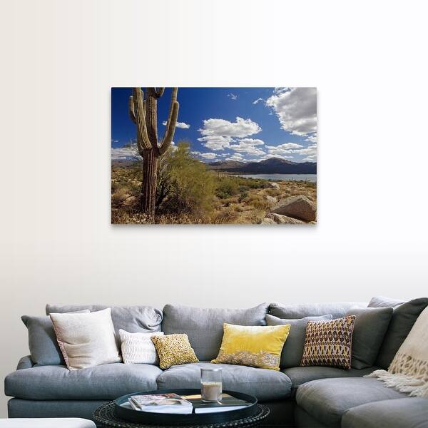 Shop Desert Scene With Saguaro Cactus Bartlett Lake Tonto