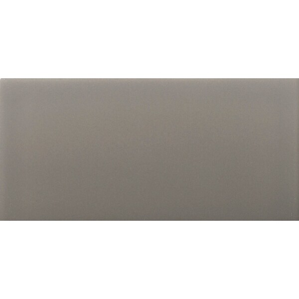 Emser Tile F14CHOI-0306M Choice - 2-7/8" x 5-7/8" Rectangle Floor and Wall Tile - Unpolished Ceramic Visual