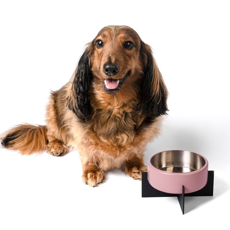 Intersecta Concrete & Steel Pet Feeder - 16oz with Metal Stand - Pink/Black