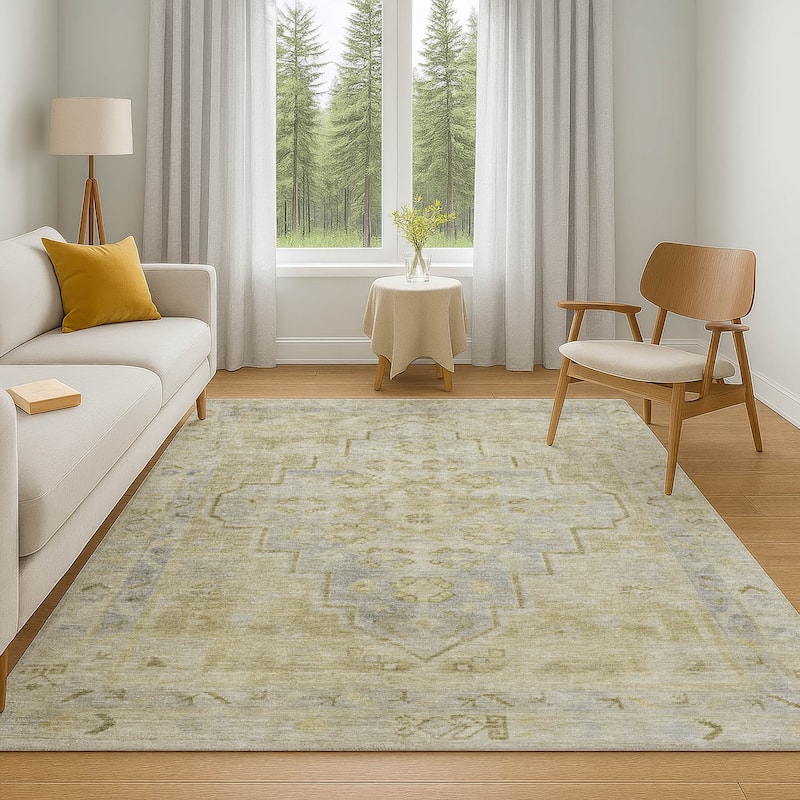 Premium Washable Super Soft Vintage Traditional Mayfield Rug