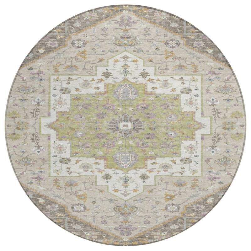 Machine Washable Indoor/ Outdoor Traditional Kolkata Chantille Rug