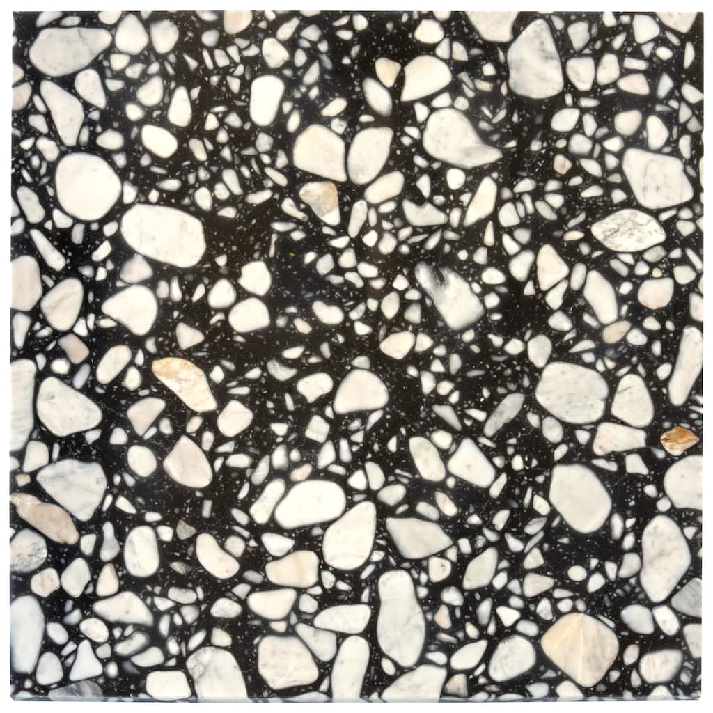 Apollo tile 24" x 24" Terraforma Polished Jet Black Terrazzo Tile (15.5 sq ft/case) - 4 Pack
