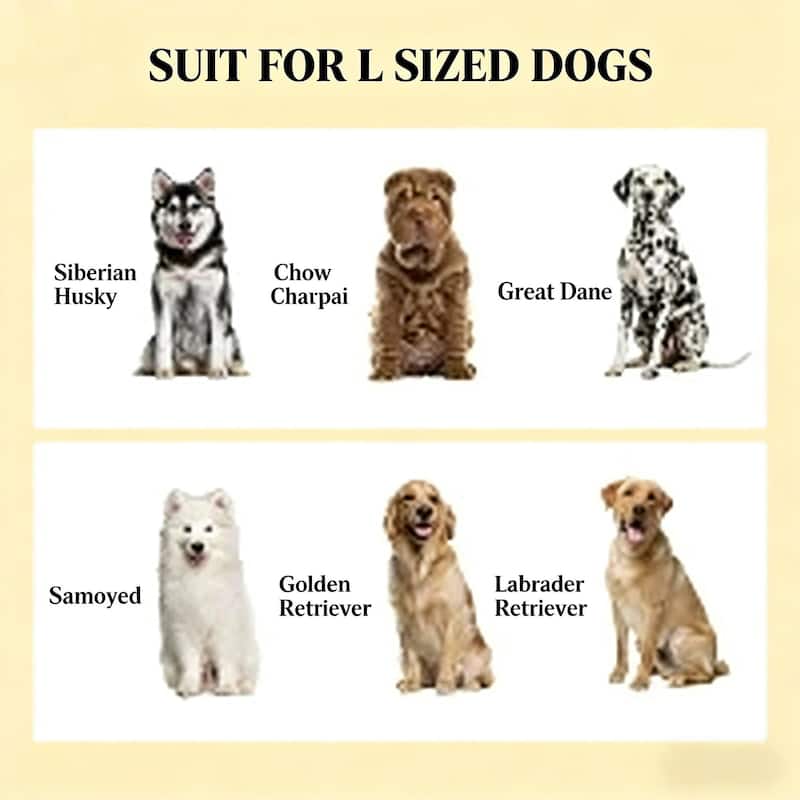 Pet Food Bowl Dog Feeding Station