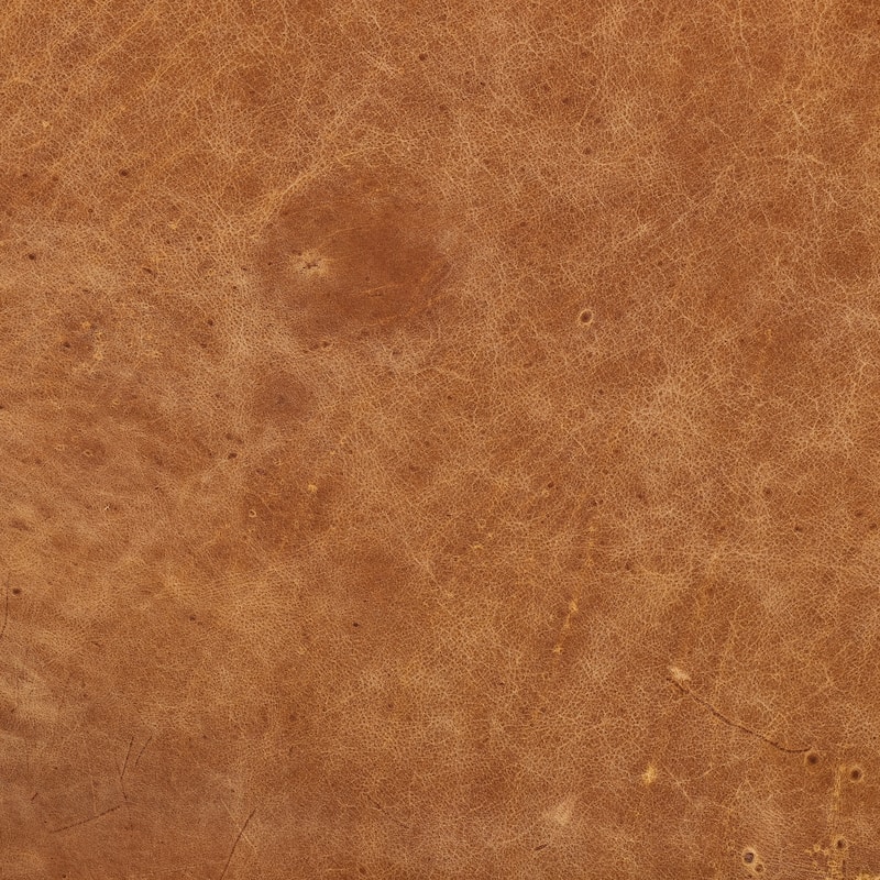 Poly and Bark Toscano 89" Sofa