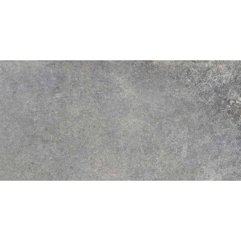 The Tile Life Wilds 12x24 Silver Lappato Porcelain Floor & Wall Tile