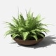 preview thumbnail 11 of 110, Mason Series Lane Bowl Planter