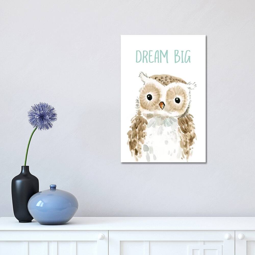 iCanvas "Dream Big Owl" by Carol Robinson Canvas Print