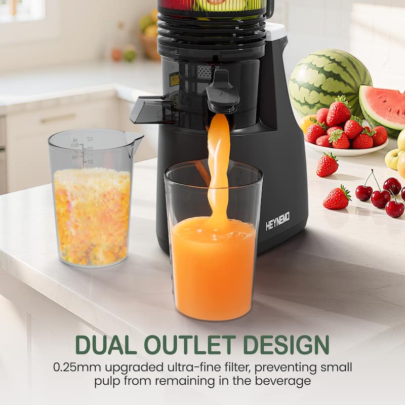 Juicer Machines, 5.9" Wide Feed Chute Cold Press Juicer