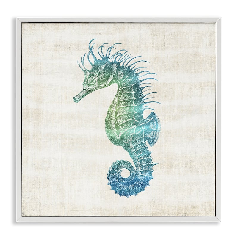 Stupell Ombre Seahorse Expression Framed Giclee Art Design By Susan Arnot - 17 x 17 - White