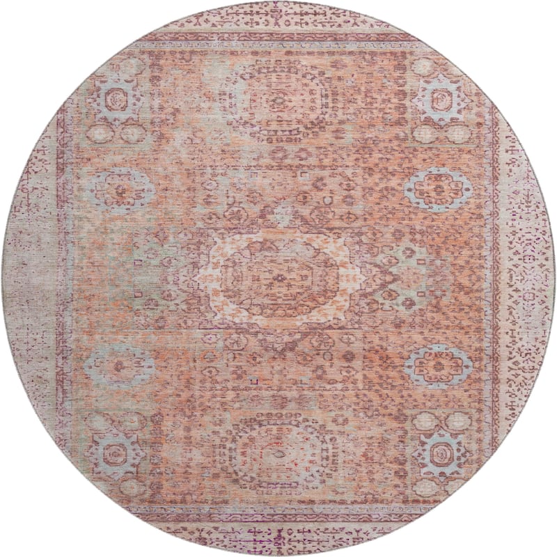 Premium Washable Super Soft Vintage Traditional Mayfield Rug