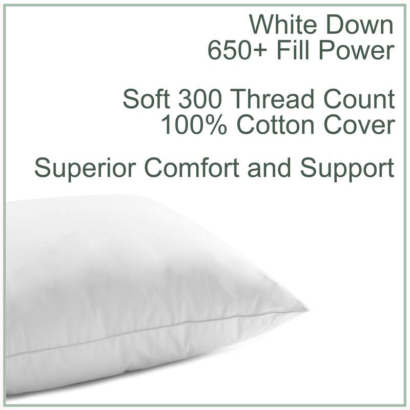 Sweat Dreamer Cloud Collection 650 Fill Power White Duck Down Pillow