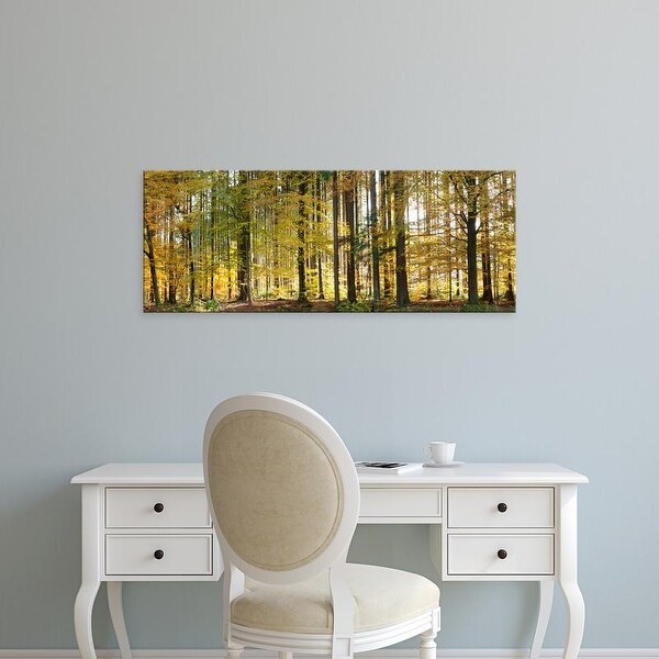 Easy Art Prints Panoramic Images's 'Trees in autumn, Hohenlohe, Baden