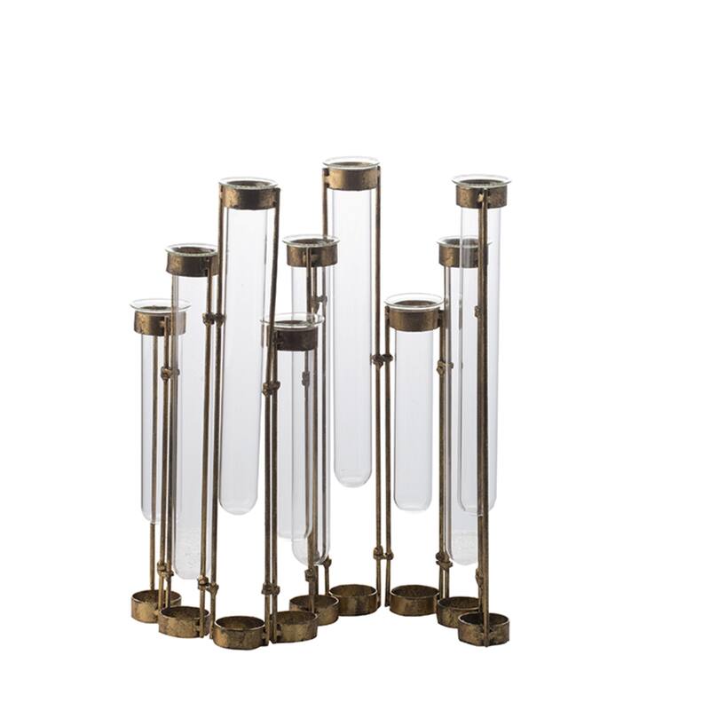 Glass Vial Flower Vase with Iron Frame - 17.75"