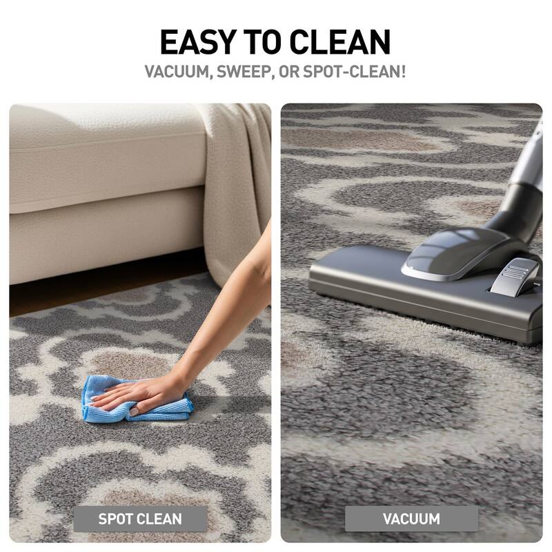 Porch & Den Touro Trellis Shag Area Rug