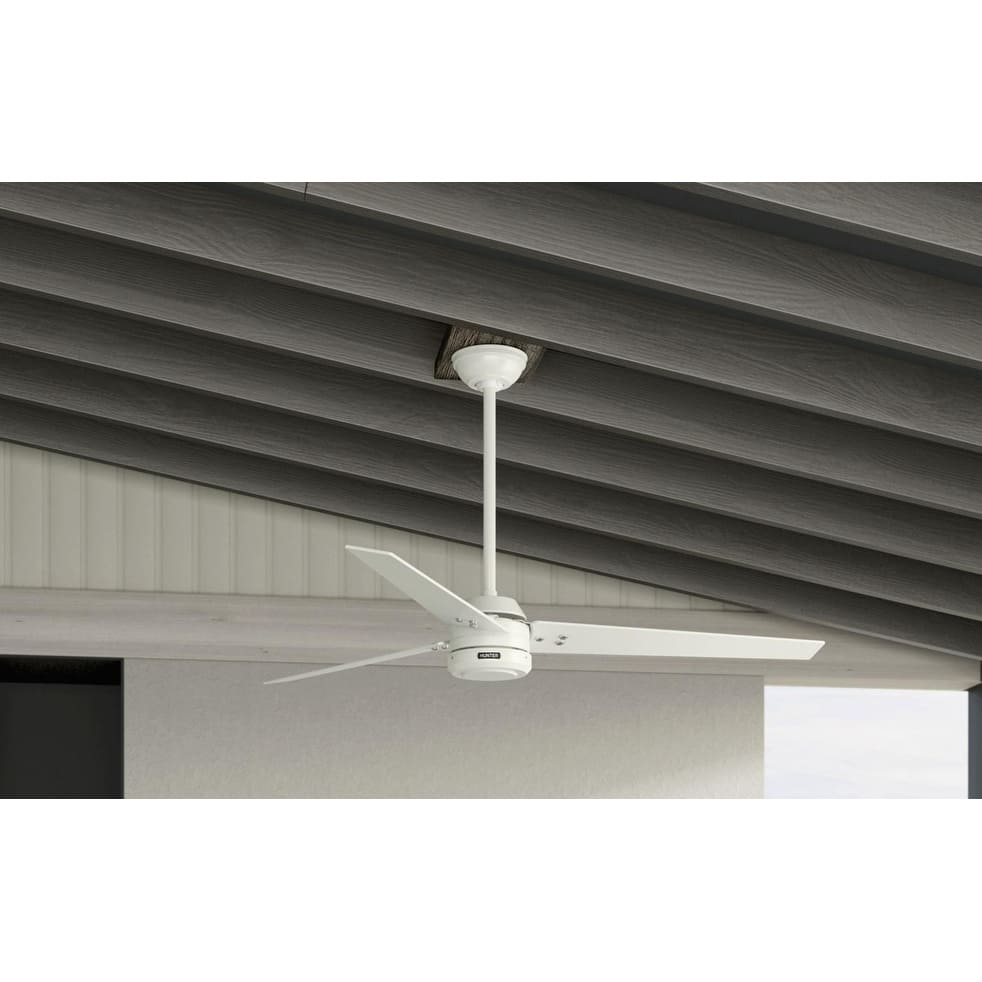 Hunter 60" Cassius ENERGY STAR® Ceiling Fan and Wall Control - Damp Rated - Farmhouse, Transitional, Industrial, Casual