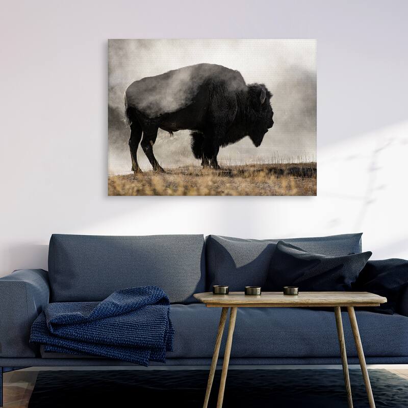 Geyer Basin by Danita Delimont Canvas Art Print