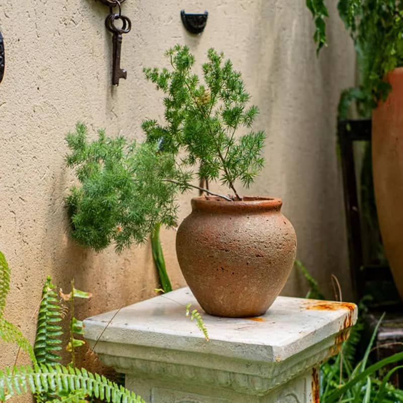 RusticReach Distressed Cement Plant Pot