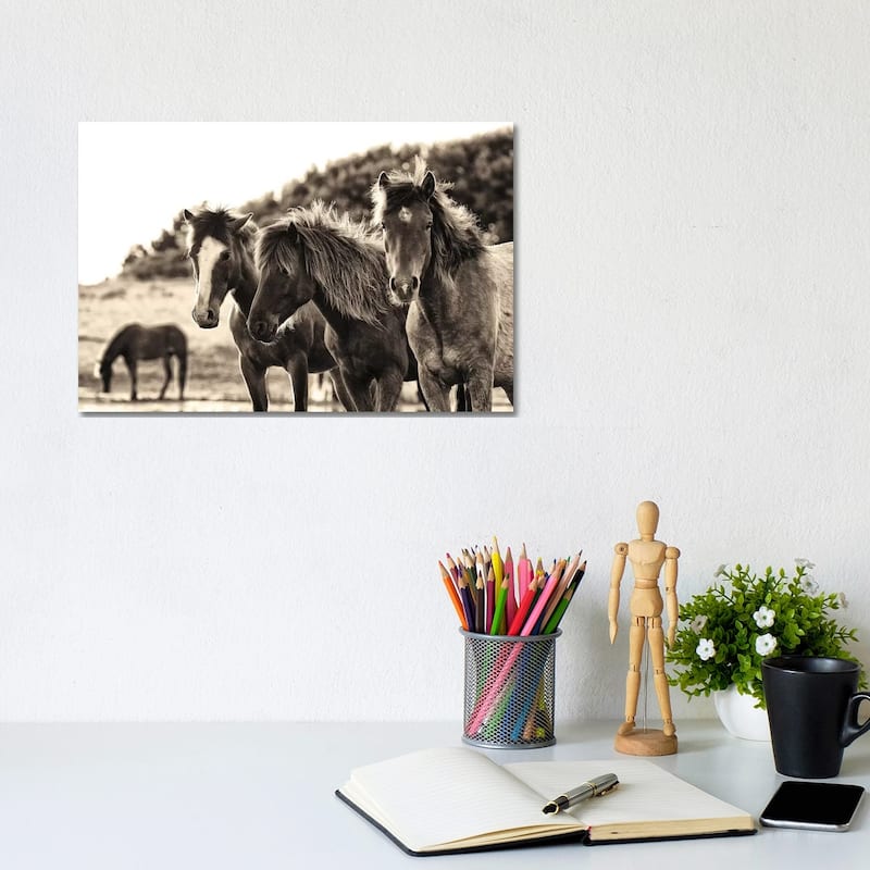 iCanvas "Horses Three Sepia" by Aledanda Canvas Print - 8x12x0.75