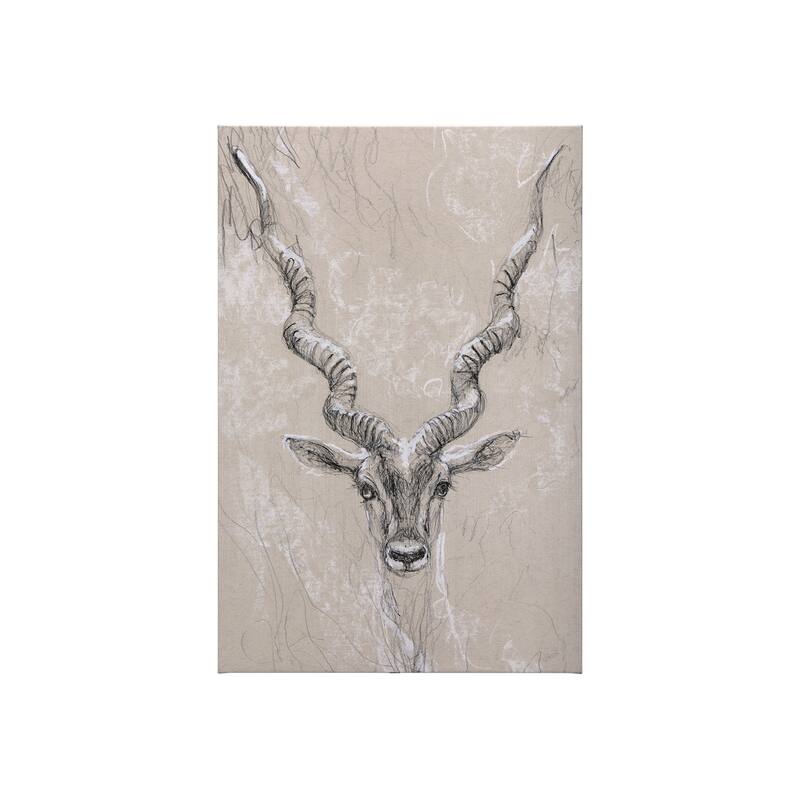 Sketch of Animal III (Antelope) (30 x 45) Canvas Art Print - Small