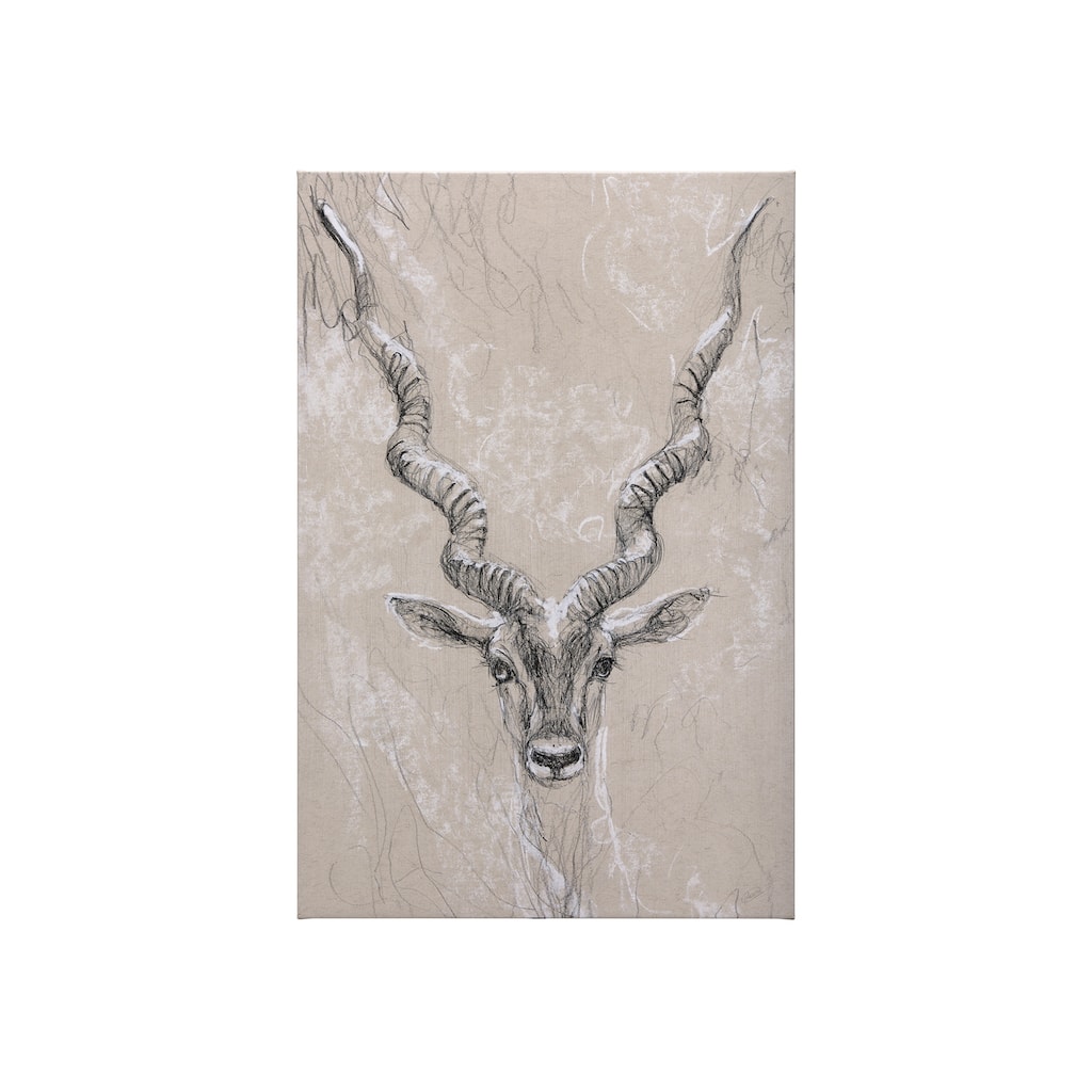 Sketch of Animal III (Antelope) (30 x 45) Canvas Art Print